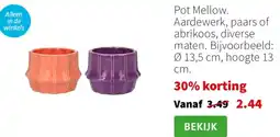 Intratuin Pot Mellow. Aardewerk, paars of abrikoos aanbieding