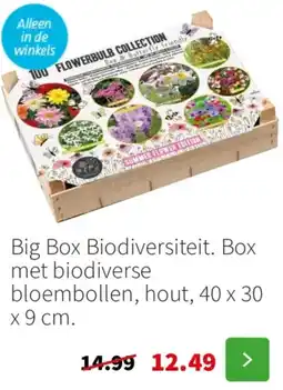 Intratuin Big Box Biodiversiteit aanbieding