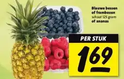 Nettorama Blauwe bessen of ananas aanbieding