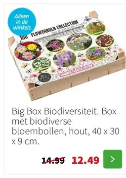 Intratuin Big Box Biodiversiteit. Box met biodiverse bloembollen, hout, 40 x 30 x 9 cm. aanbieding
