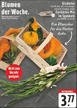 Edeka DE Gladiolen / Zierkürbis-Mix im Spankorb aanbieding