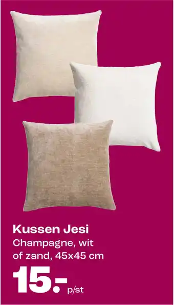 Kwantum Kussen Jesi aanbieding