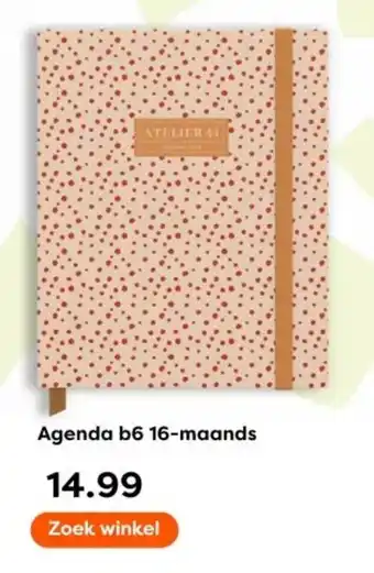 The Read Shop Agenda b6 16 maands aanbieding