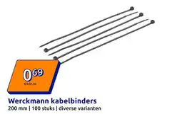 Action Werckmann kabelbinders aanbieding