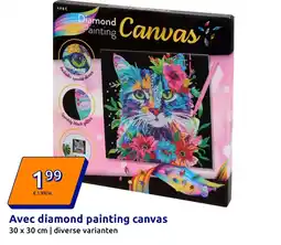 Action Avec diamond painting canvas aanbieding