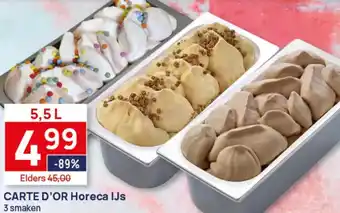 Butlon CARTE D'OR Horeca IJs aanbieding