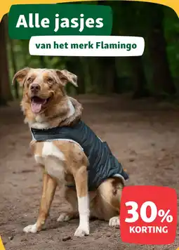 Maxi Zoo Alle jasjes aanbieding