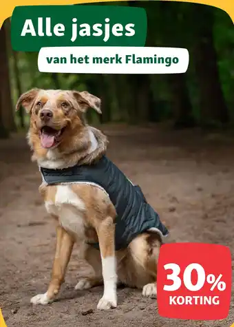 Maxi Zoo Alle jasjes aanbieding