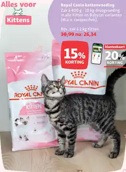 Maxi Zoo Royal Canin kattenvoeding aanbieding