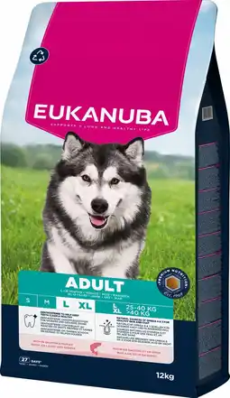 Pets Place Eukanuba Adult Large Breed - Hondenbrokken - Zalm Gerst 12 kg aanbieding