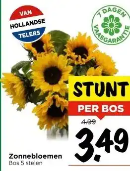 Vomar Voordeelmarkt Zonnebloemen aanbieding