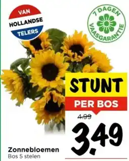 Vomar Voordeelmarkt Zonnebloemen Bos 5 stelen aanbieding