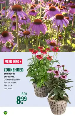 GroenRijk Zonnehoed aanbieding