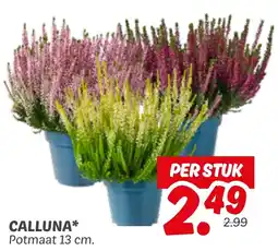 Dekamarkt Calluna aanbieding