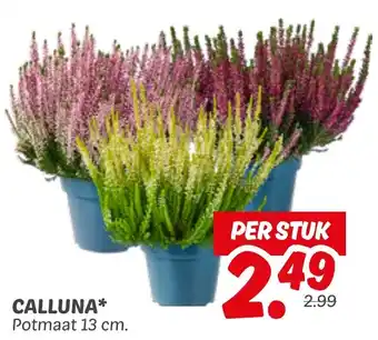 Dekamarkt Calluna aanbieding