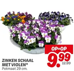 Dekamarkt Zinken schaal met violen aanbieding