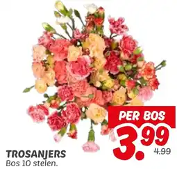 Dekamarkt Trosanjers aanbieding