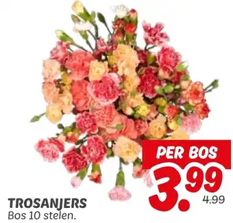 Dekamarkt Trosanjers aanbieding