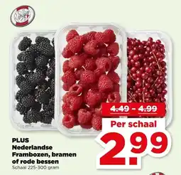 PLUS PLUS Nederlandse Frambozen, bramen of rode bessen aanbieding