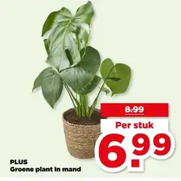 PLUS PLUS Groene plant in mand aanbieding