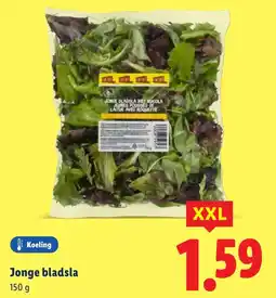 Lidl Jonge bladsla aanbieding