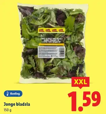 Lidl Jonge bladsla aanbieding