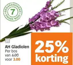 Albert Heijn AH Gladiolen aanbieding