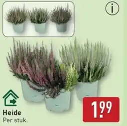 ALDI Heide aanbieding