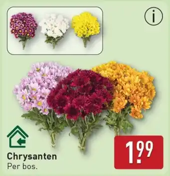 ALDI Varkensschnitzels saté aanbieding