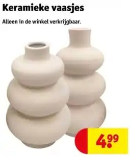 Kruidvat Keramieke vaasjes aanbieding