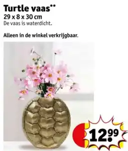 Kruidvat Turtle Vaas aanbieding