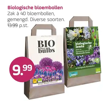Coppelmans Biologische bloembollen aanbieding