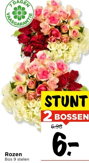 Vomar Voordeelmarkt Rozen aanbieding