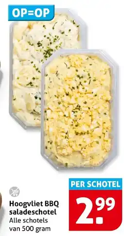 Hoogvliet Hoogvliet BBQ saladeschotel aanbieding