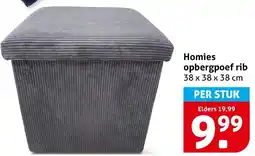 Hoogvliet Homies opbergpoef rib aanbieding