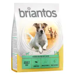 Zooplus 1kg Adult Mini Lam & Rijst Briantos Hondenvoer aanbieding