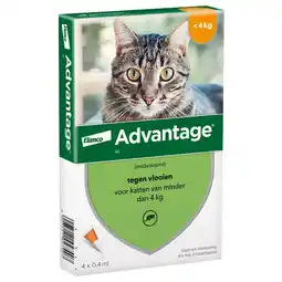 Zooplus 4 Pipetten AdvantageÂ 40 voor katten van minder dan 4 kg - BE aanbieding