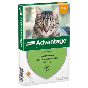 Zooplus 4 Pipetten AdvantageÂ 40 voor katten van minder dan 4 kg - BE aanbieding