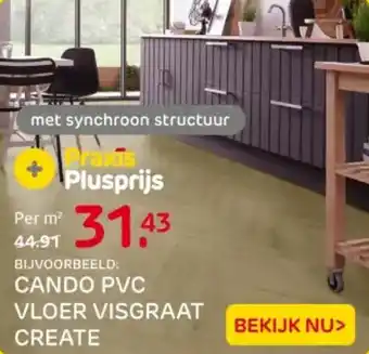 Praxis Cando PVC vloer visgraat create aanbieding