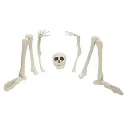 Van Cranenbroek Grafset skelet met beenderen aanbieding