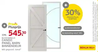 Praxis Cando panel barn binnendeur aanbieding