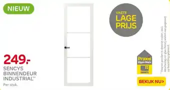 Praxis Sencys binnendeur industrial aanbieding