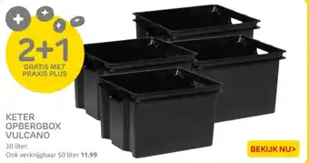 Praxis Keter opbergbox vulcano aanbieding