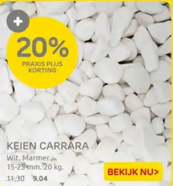 Praxis Keien carrara aanbieding