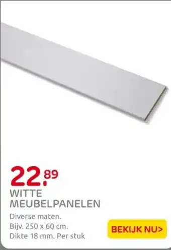 Praxis Witte meubelpanelen aanbieding
