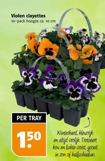 Poiesz Violen clayettes aanbieding