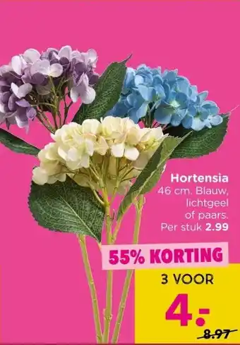 Xenos Hortensia aanbieding