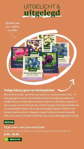 Welkoop Tijd voor voorjaarsbollen! aanbieding