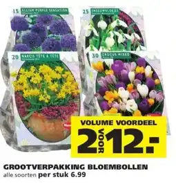 Ranzijn GROOTVERPAKKING BLOEMBOLLEN aanbieding