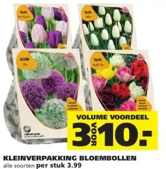 Ranzijn KLEINVERPAKKING BLOEMBOLLEN aanbieding